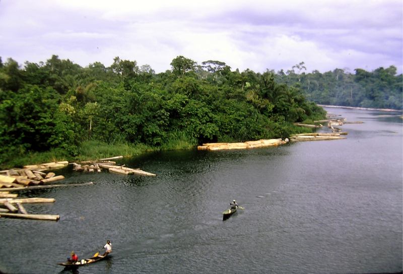 The Niger River delta.